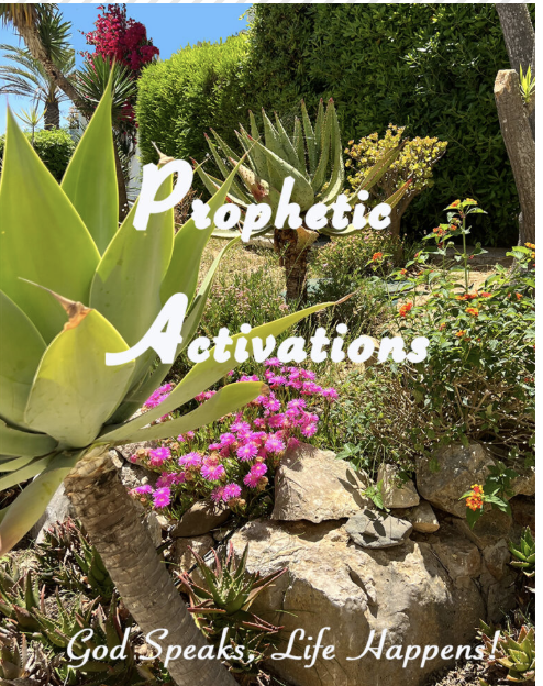 Screenshot 2025-12-09 at 6.41.23 PM