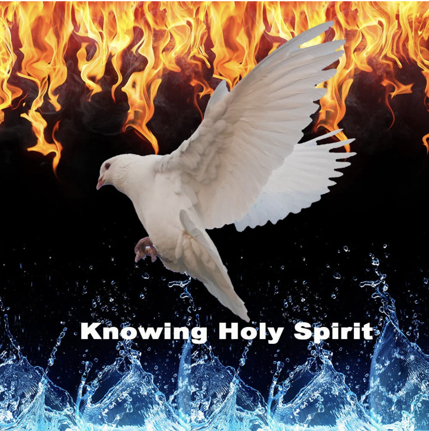 Screenshot 2025-12-09 at 7.18.55 PM