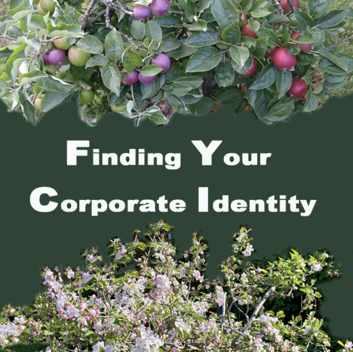 Screenshot 2025-12-09 at 7.30.14 PM