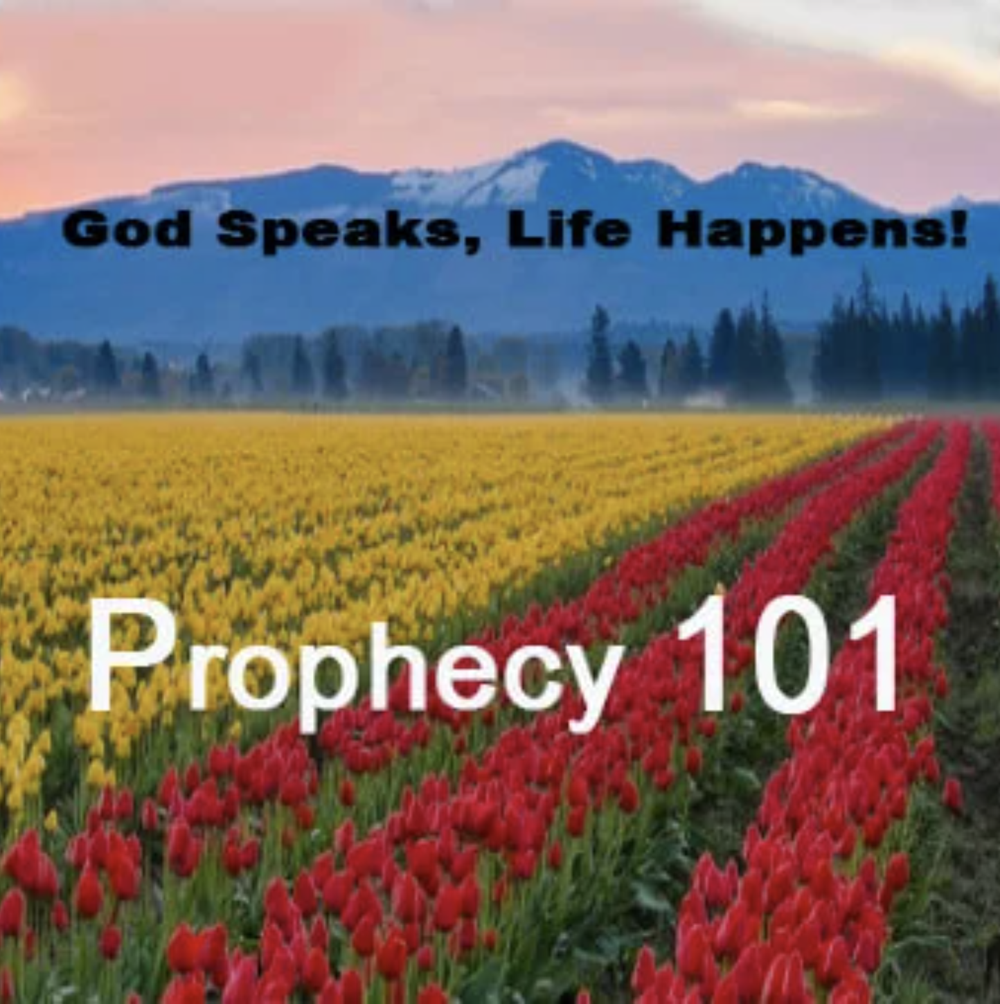 Screenshot 2025-12-09 at 7.32.44 PM